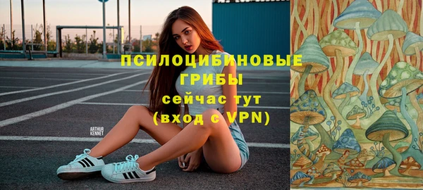 молекула духа Баксан