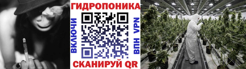 Шишки марихуана AK-47  ОМГ ОМГ ТОР  Кологрив 